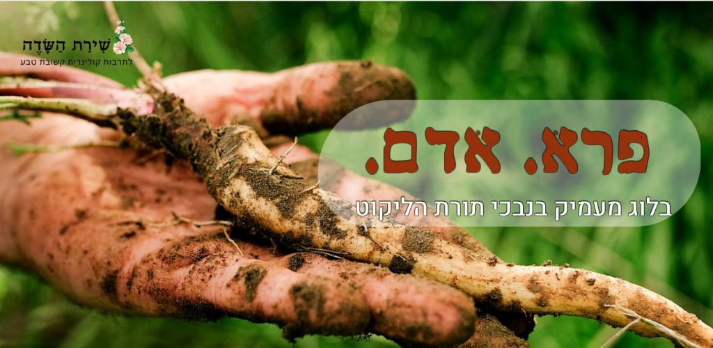 יוצאים אל הטבע וחוזרים שבעים