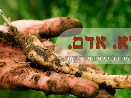 יוצאים אל הטבע וחוזרים שבעים